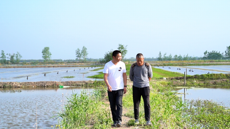 荒湖变金塘,澳华与湖北养虾人的致富路 | 成就养殖梦想·助力乡村振兴