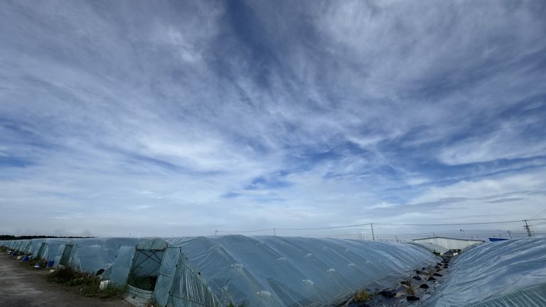 虾价逼近成本线，华南小棚白虾如何突围？养殖设备与模式升级是关键！