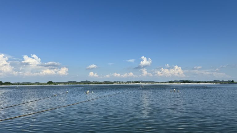 抢占鲈鱼行情时间差！澳华黄金版加州鲈安康助力养户抢规格、早上市、卖高价！