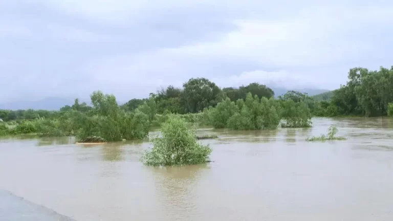 台风“桦加沙”过后,华南水产养殖户修复补救指南
