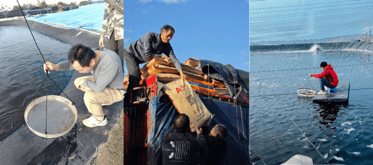 聚势大客户·深耕核心区·联动创高值 | 海南澳华2026全新战略即将发布！